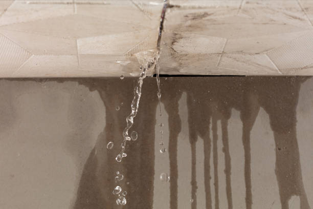 Professional Sewage Cleanup technician working in Pittsford, MI